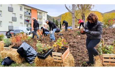 French pilot project on Aix Marseille Provence Metropolitan area – Local contribution scheme towards carbon neutrality