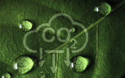 Towards “Carbone 13”: a community carbon scheme for Aix–Marseille Provence